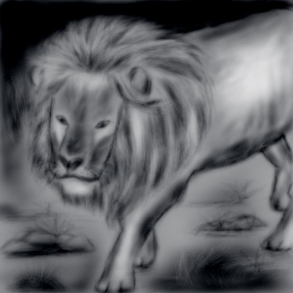Creation of Run.....Its a lion......: Final Result